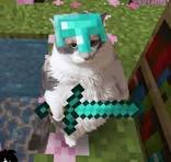 Minecraft meme